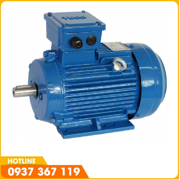 Motor TECO - IE2